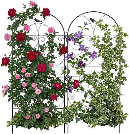 Set Suporturi Pentru Plante Cățătoare Relaxdays Negru 116x1x50 Cm