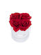 Relaxdays Weiße Runde Box 4 Rosen Weiß Rot 14x13x13 cm