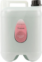 Iv San Bernard Vanesia Bamboo Shampoo Short-haired Dogs Cats 10l Iv San Bernard Vanesia Bamboo Shampoo Short-haired Dogs Cats 10l