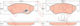 Trw Gdb1221 Disc Brake Pad Set