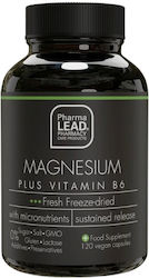 Pharmalead Magneziu Plus Vitamina B6 120 Capsule Pe Bază de Plante Pharmalead Magneziu Plus Vitamina B6 120 Capsule Pe Bază de Plante