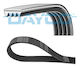 Dayco Curea De Transmisie Cu Caneluri 4pk1225