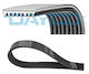 Dayco 8pk2000hd Ribbed Transmission Belt
