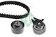 Ina Timing Belt Set 530 0507 10