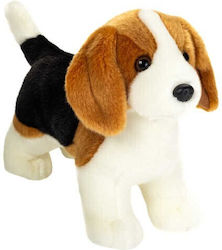 Hermann Teddy Puppy