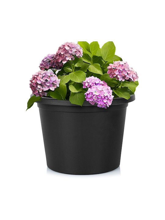 Vilde Ghiveci De Flori Din Plastic Negru 34x34 Cm Vilde Ghiveci De Flori Din Plastic Negru 34x34 Cm