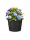 Vilde Plastic Black Flower Pot 39x39cm