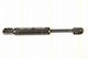Triscan Hood Shock Absorber 8710 28105