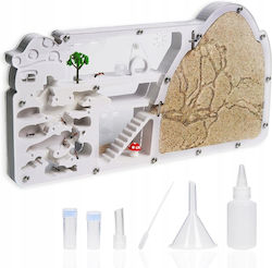 Formikarium Terrarium Ants Educational Breeding 27.5cm Xxl Starter
