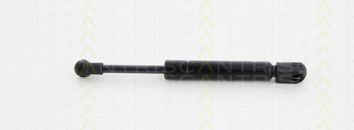 Triscan 8710 29298 Trunk Shock Absorber