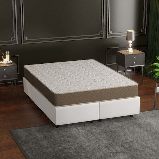 SteweHome Ημίδιπλο Ορθοπεδικό Στρώμα 120x180cm με Ελατήρια
