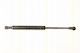 Triscan 8710 28241 Trunk Shock Absorber