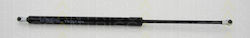 Triscan Trunk Shock Absorber 8710 10217