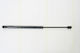 Triscan 8710 15228 Trunk Shock Absorber