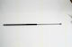Triscan 8710 15234 Trunk Shock Absorber