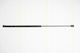 Triscan 8710 16243 Trunk Shock Absorber