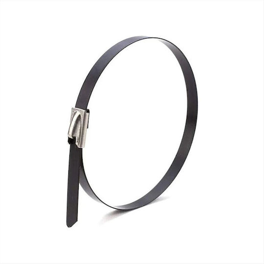 316 Plastic Cable Ties In Silver Colour 10 Pieces 022170