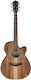 Ibanez Semi-Acoustic Guitar