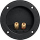 Set 2 Terminale Pentru Boxe Cu Șurub Placate Cu Aur 2 Căi Conector Audio Montare Panou 105 Mm
