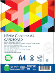 Mutual Trust Cardboard A4 Copier Paper Flippy 80 Gsm 100 Sheets Ream 210 X 297 Mm Multifunctional Paper Printing Copying Creative Projects