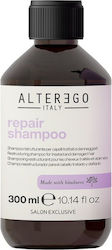 Alterego Σαμπουάν Αναδόμησης/Θρέψης 300ml Alterego Σαμπουάν Αναδόμησης/Θρέψης 300ml