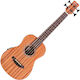 Cordoba Guitars 4χορδο Ηλεκτρικό Μπάσο
