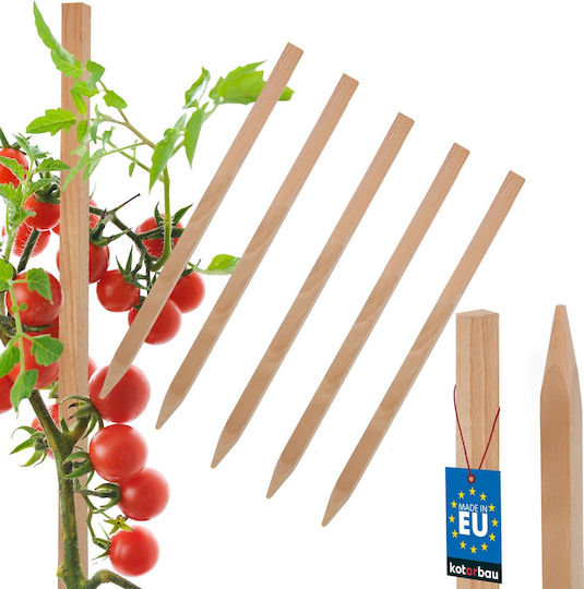 Kotarbau Holzpflanzenspieße Tomaten Gemüse Gartenstützen Bäume Sträucher 25 cm Set 5 Stück