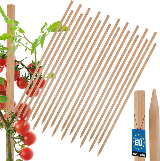 Kotarbau Holzpflanzenspieße Tomaten Gemüse Gartenstützen Bäume Sträucher 80 cm Set 20 Stück