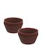 Orion Bakeware Tins & Trays for Cupcakes/Muffins made of Silicone 5.5x5.5cm 12 Pieces