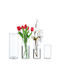 Relaxdays Relaxdays Set Dekorative Glasvasen Transparente 4 Stück