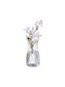 Relaxdays Vază Decorativă Din Sticlă Transparentă 10.5xÎ20cm
