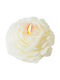 Alista Home Aromatisches Kerze mit Rose Parfüm 70gr