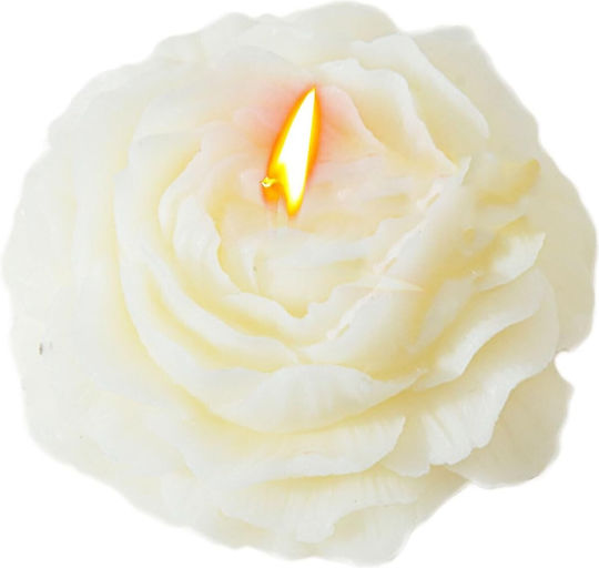 Alista Home Aromatic Soy Candle with Rose Scent 70g