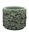 Interni Oggi Ceramic Plant Pot Green 12x12x10cm