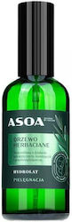 Asoa Facial Toning Liquid 100ml Asoa Facial Toning Liquid 100ml