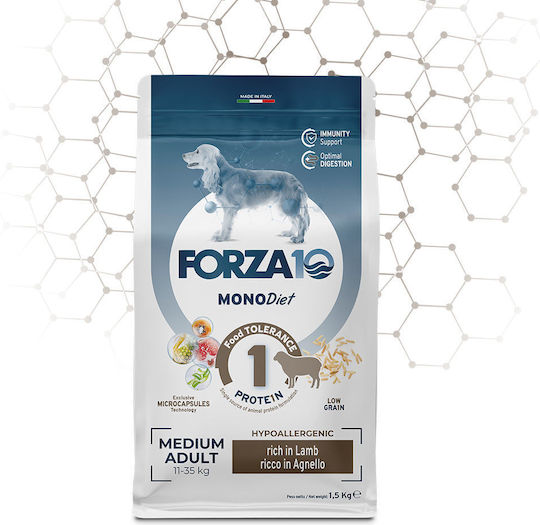 xlarge_20260511160414_forza10_