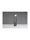Trio Lighting Außenstehlampe Malawi Led 5w Cct 15.5x8x60cm N 553769142