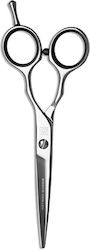 Queen Micro Serrated Scissors 6" 1 Unit Queen Micro Serrated Scissors 6" 1 Unit