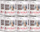 VetExpert Paleo Nasses Hundefutter in Dose mit Schweinefleisch 12x800gr