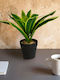 Alista Home Plastic Green Plant Pot 20x8.5cm