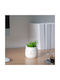 Decorative Artificial Plant In Pot Cat Head 14 Cm 3 Models Home Office Decor