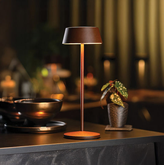 Lămpă Decorativă LED 13x27cm