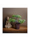 Plantă Bonsai Artificială Decorativă 25 Cm În Ghiveci Design Realist Decor Acasă Birou