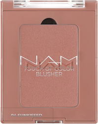 Nam Touch Colour Blusher No 4 Sunkissed Nam Touch Colour Blusher No 4 Sunkissed