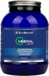 Iv San Bernard Mineral H Kr-24 Balm Dogs Cats 3l Iv San Bernard Mineral H Kr-24 Balm Dogs Cats 3l