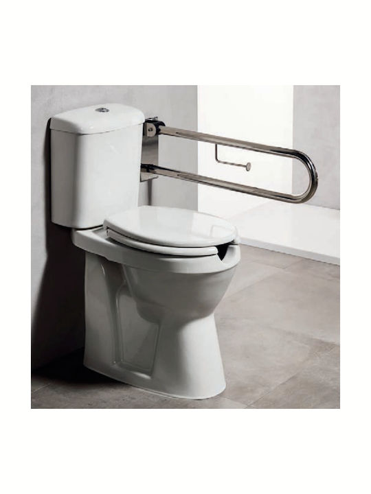 Tema 001-Ame-0005 Floor-Standing Toilet with Flush