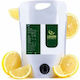 Suc De Fructe 4 Experts Lămâie 3000ml