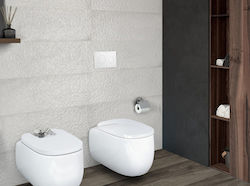 Roca Pl10 Dual