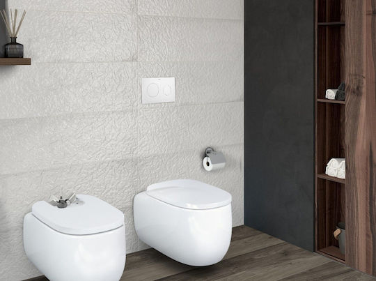 Roca Pl10 Dual Flush Plate for Dual Flush Cisterns