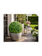 Dekorative Künstliche Grüne Ball Pflanzen 28cm Garten Balkon & Dekoration